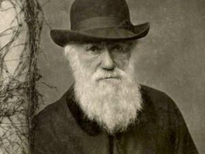 Darwin e l'evoluzionismo