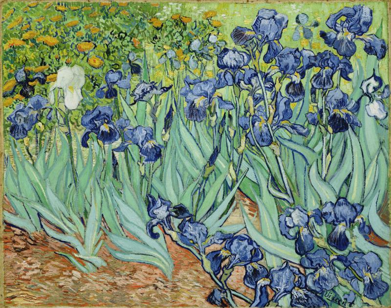 Van Gogh: Iris, 1889