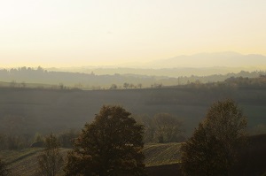 campagna piemontese